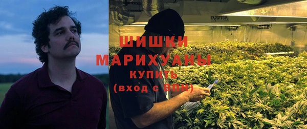 ПСИЛОЦИБИНОВЫЕ ГРИБЫ Михайловка