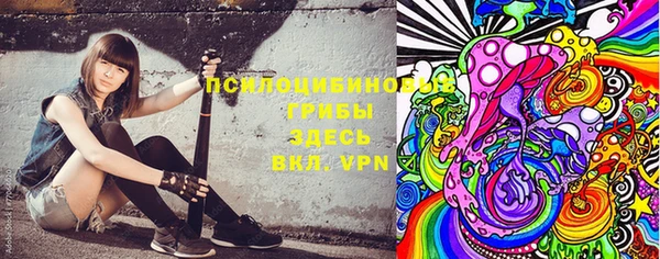 a pvp Михайлов