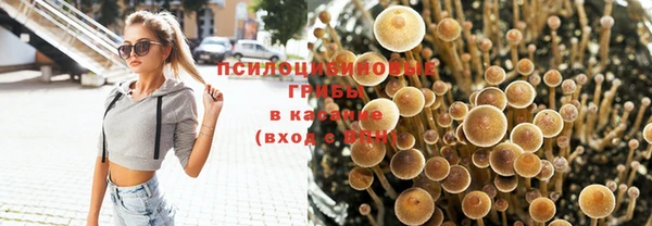 ПСИЛОЦИБИНОВЫЕ ГРИБЫ Михайловка