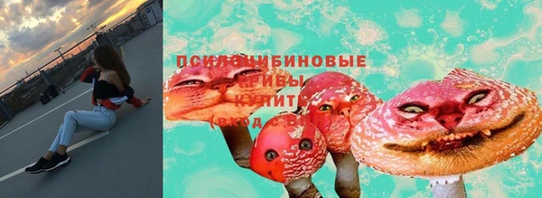a pvp Михайлов