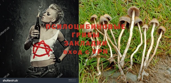 a pvp Михайлов