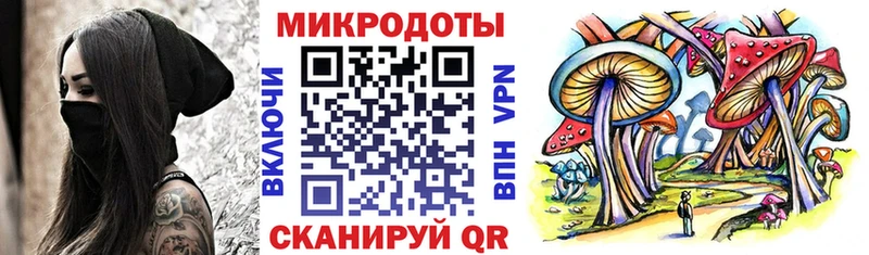 где можно купить наркотик  Ржев  Галлюциногенные грибы Psilocybine cubensis 