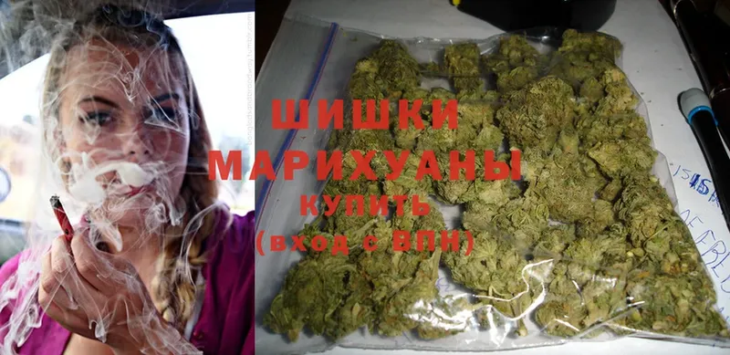 магазин    Ржев  Шишки марихуана SATIVA & INDICA 